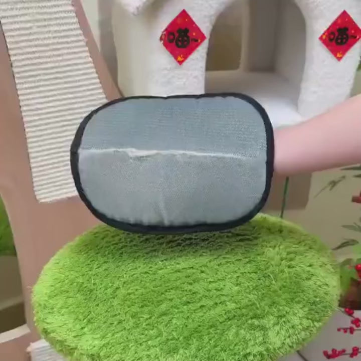 Charger la vidéo : 